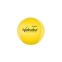 Load image into Gallery viewer, Waboba Fetch Water Dogball
