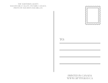 Load image into Gallery viewer, Barry's Bay Northern Lights Post Card
