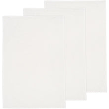 Load image into Gallery viewer, Unbleached White Floursack Dish Towels - Set of 3
