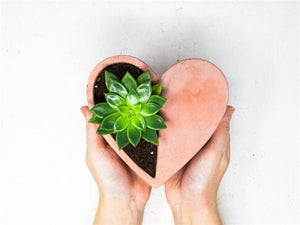 Heart-Shaped Planter