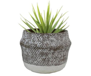 2-Tone Cement Planter - Large (PICKUP ONLY)