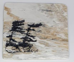 Madoc Rocks Coaster - Windswept Trees