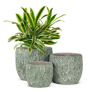 Medium Green Leaf Planter