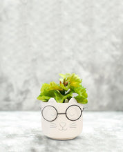 Load image into Gallery viewer, Large Cat Face Planter with Glasses
