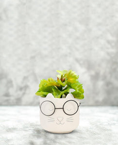 Large Cat Face Planter with Glasses