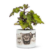 Load image into Gallery viewer, Small Cat Trio Planter
