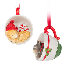 Load image into Gallery viewer, Pet In Teacup Ornament

