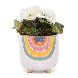 Large Rainbow Planter With Legs Planter (PICKUP ONLY)