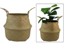 Load image into Gallery viewer, Natural Woven Seagrass Basket With Handles
