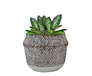 2-Tone Cement Planter - Small (PICKUP ONLY)