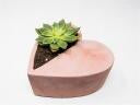 Heart-Shaped Planter