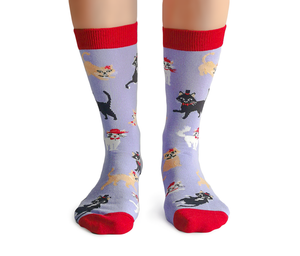 Cats In Hats Socks - For Her