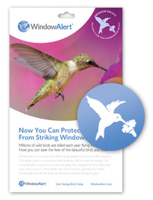 Hummingbird Window Alert
