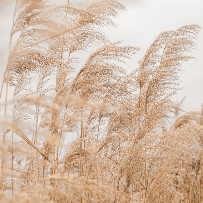 Blowing Grain Luncheon Napkin